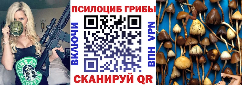 hydra маркетплейс  Полысаево  Галлюциногенные грибы Psilocybine cubensis  купить наркотики сайты 